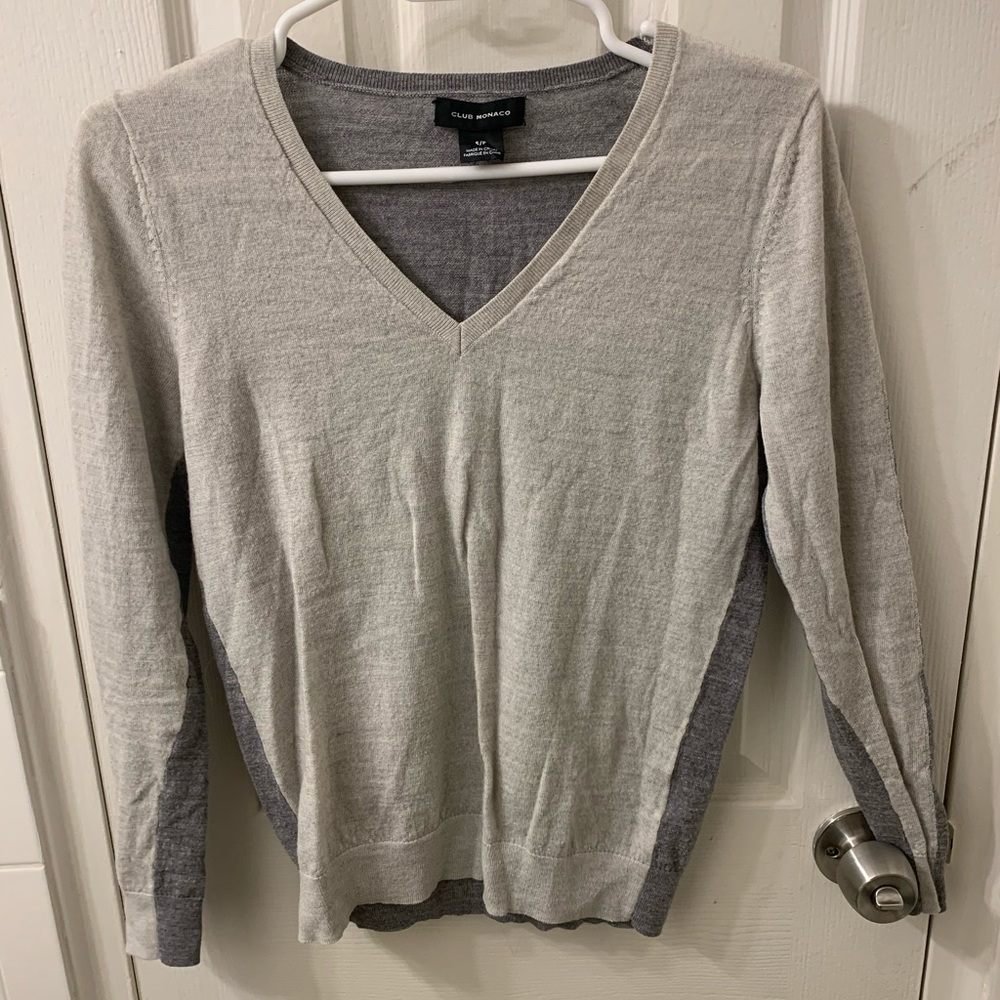 Club Monaco Zaydie merino wool v neck sweater